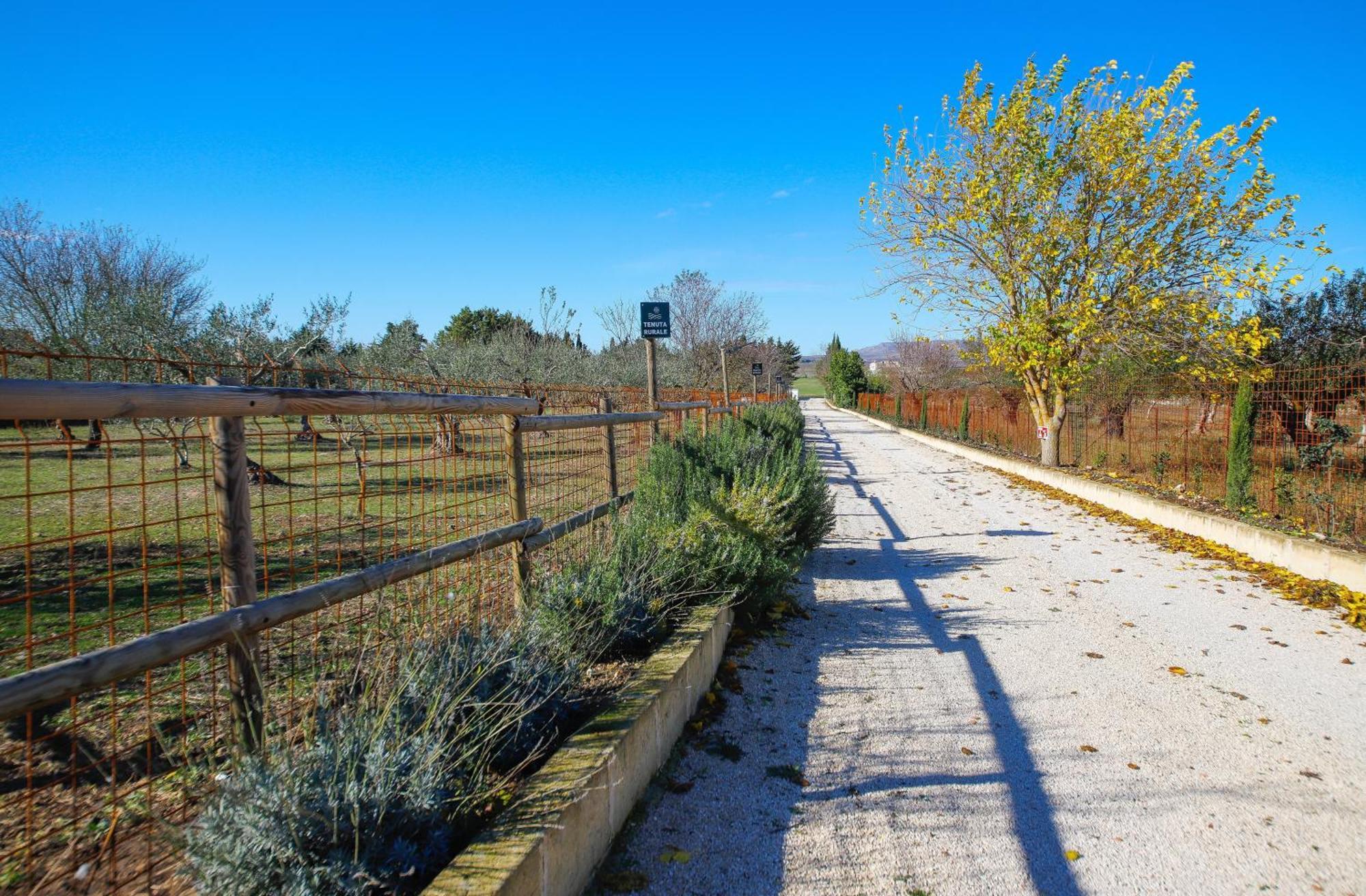 Tenuta Rurale Luxury&Nature Gravina in Puglia Exterior photo